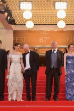 tapete vermelho Cannes 2014
