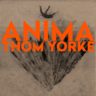 thomyorke-anima
